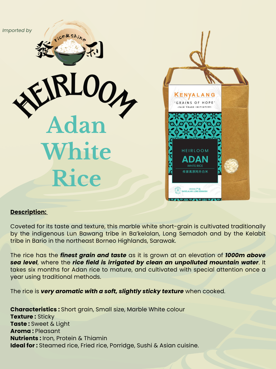Kenyalang Adan Heirloom White Rice