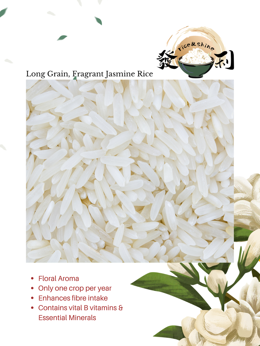 Wan Li Xiang ST25 Premium Jasmine Fragrant Rice 25kg