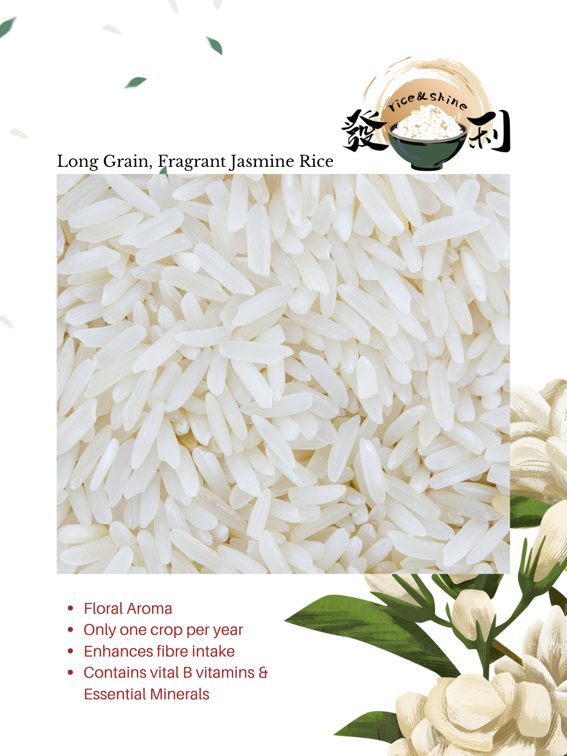 Wan Li Xiang ST25 Premium Jasmine Fragrant Rice 25kg